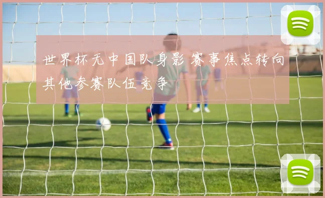 世界杯无中国队身影 赛事焦点转向其他参赛队伍竞争