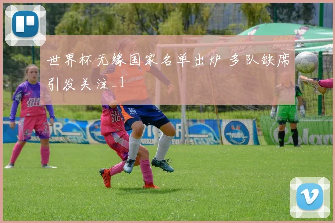 世界杯无缘国家名单出炉 多队缺席引发关注_1