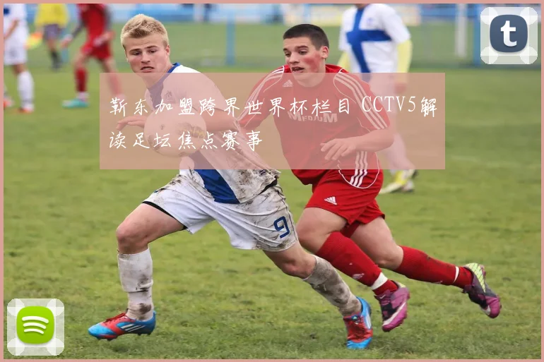 靳东加盟跨界世界杯栏目 CCTV5解读足坛焦点赛事