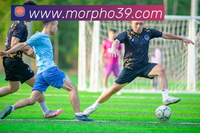 多媒体互动体验